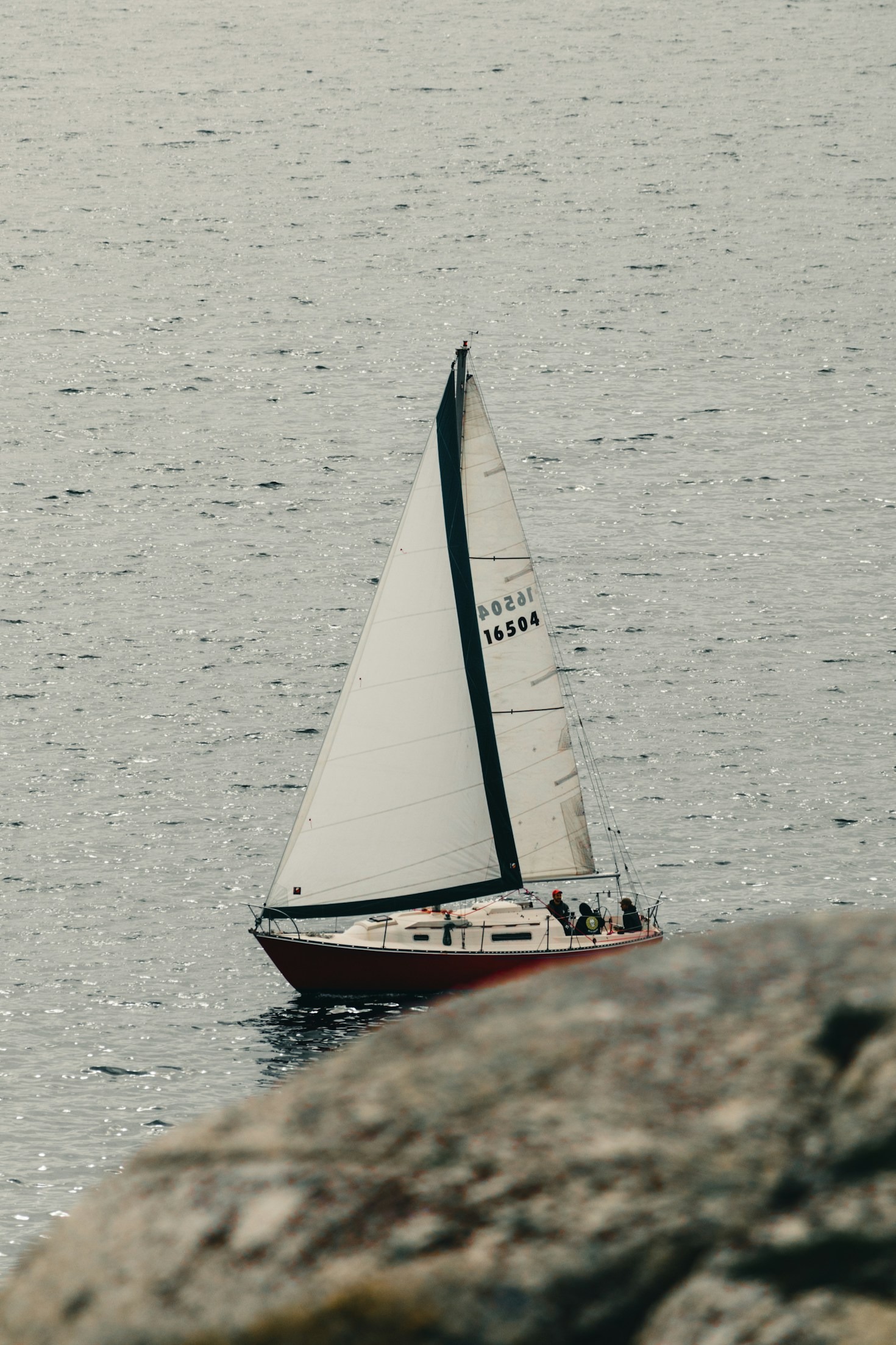 The Adventures of Wild Mike: A Sailor’s Tale